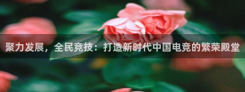 乐竞电竞竞猜：聚力发展，全民竞技：打造新时代中国电竞的繁荣殿堂