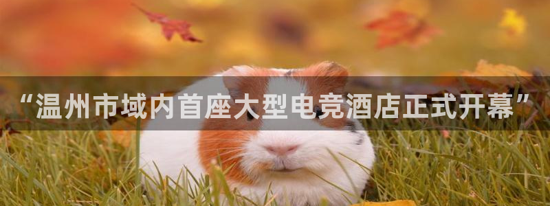 乐竞电竞青训基地：“温州市域内首座大型电竞酒店正式开幕”