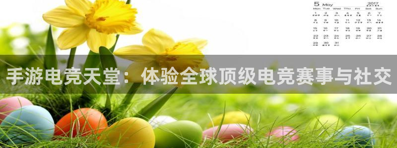 乐竞电竞实训中心收费标准：手游电竞天堂：体验全球顶级电竞赛事与社交